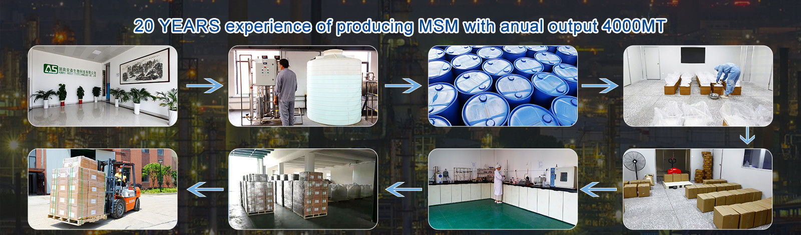 MSM Methylsulfonylmethan